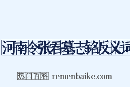 河南令张君墓志铭反义词是什么意思的图片